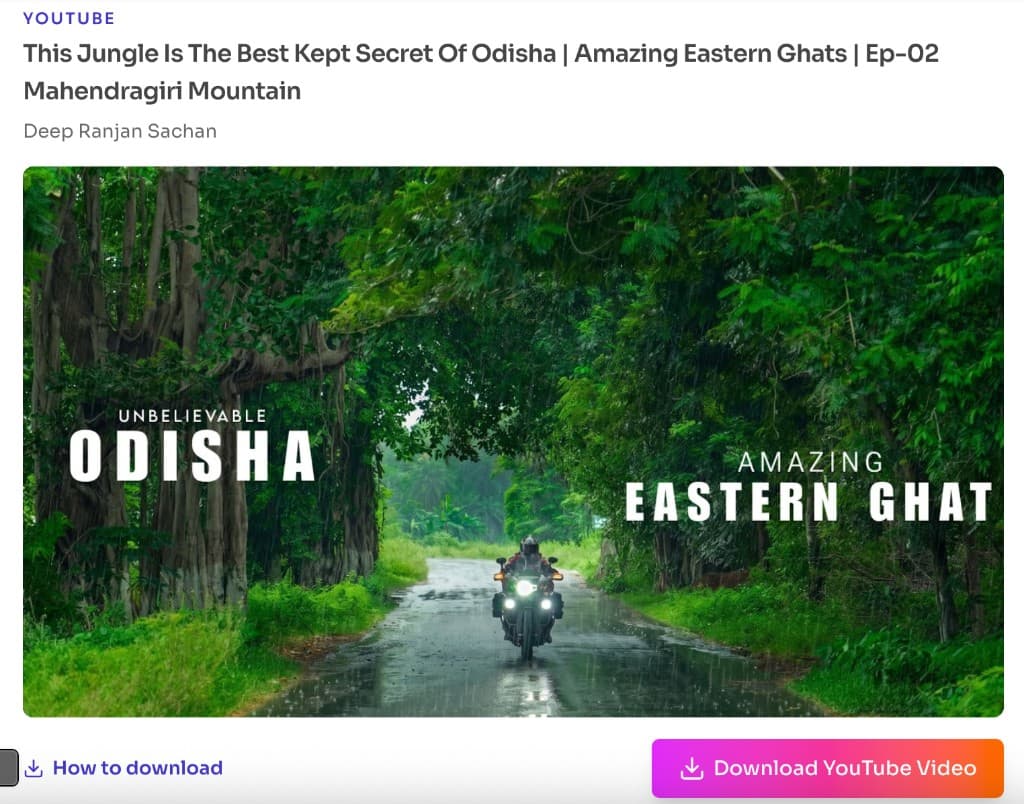 Loaded YouTube video details with title, channel, thumbnail, and Download YouTube Video button