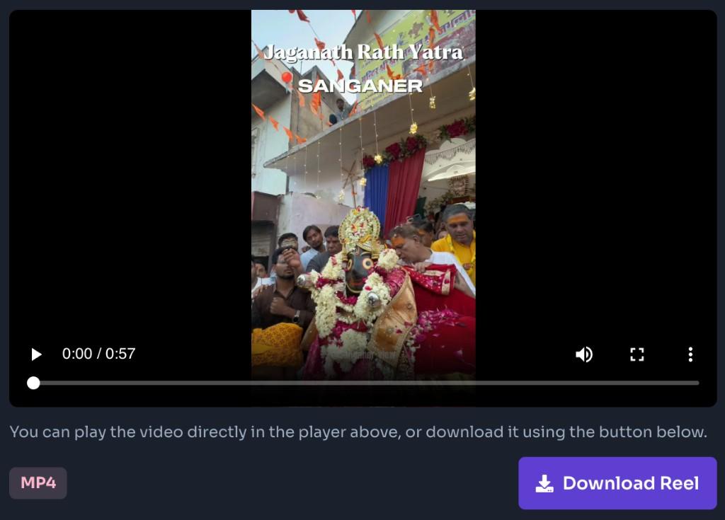 Step 1: Play or download Instagram Video Downloader - preview the video and click Download Video