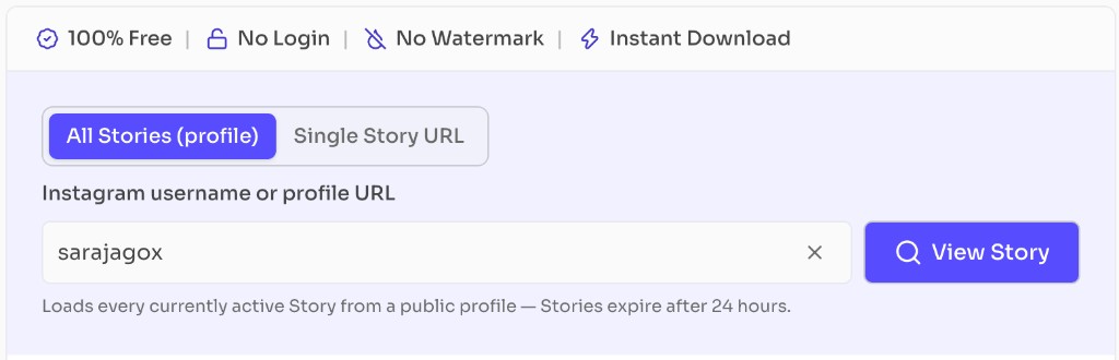 Anonymous Instagram Story Viewer — choose All Stories, enter a username, and click View Story