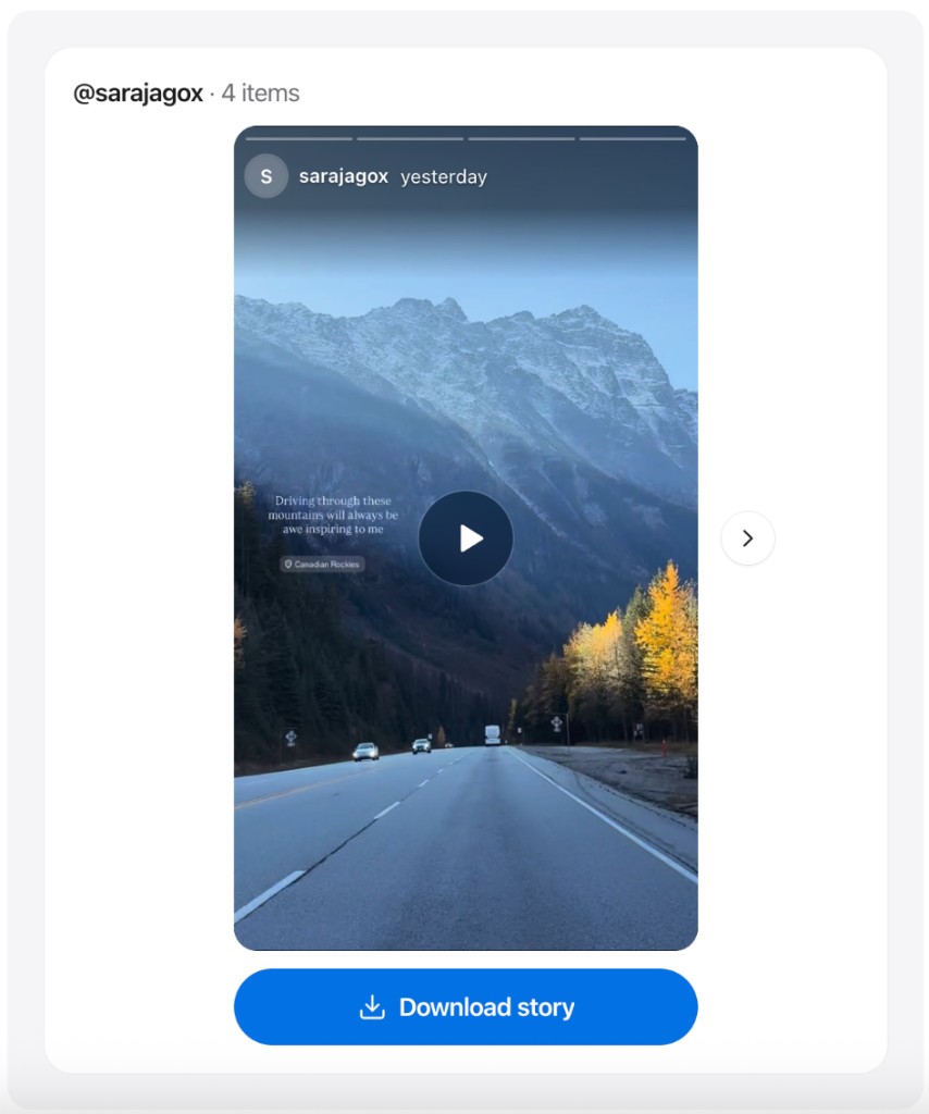 Anonymous Instagram Story Viewer — preview a Story and download when available