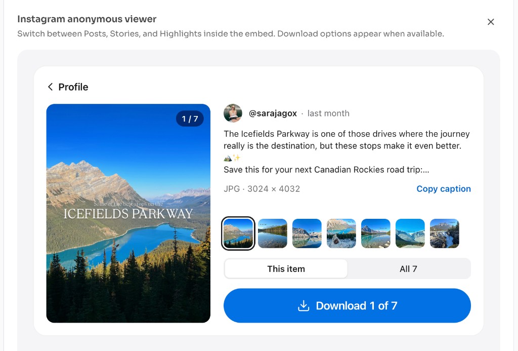 Anonymous Instagram Viewer — Story, Reel, Post & Profile — Download when available — Anonymous Instagram Viewer — open a post and download photos or videos
