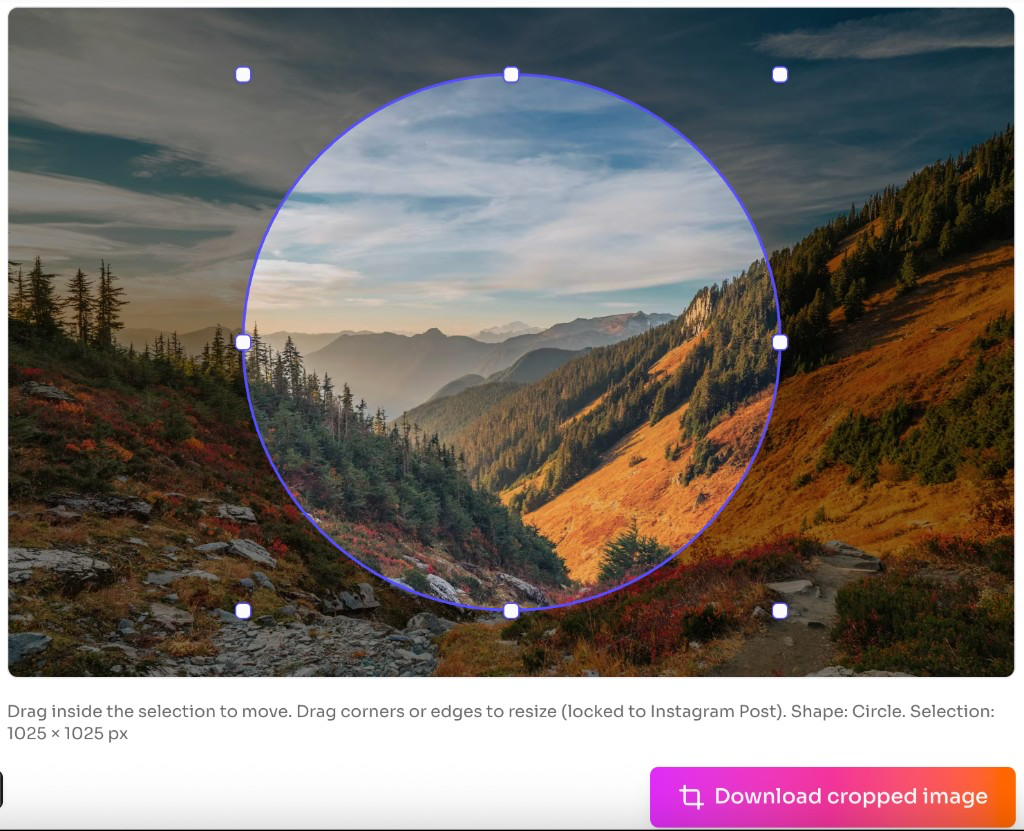 Free Image Cropper Online — circular crop preview and download cropped image button