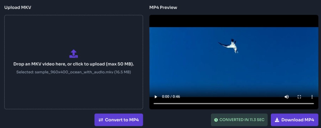 MKV to MP4 Converter Online Free — Download the MP4 — MKV to MP4 converter preview after conversion with Download MP4 button and conversion time